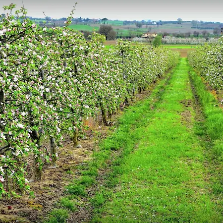 Vila Belvilla By Oyo Paola