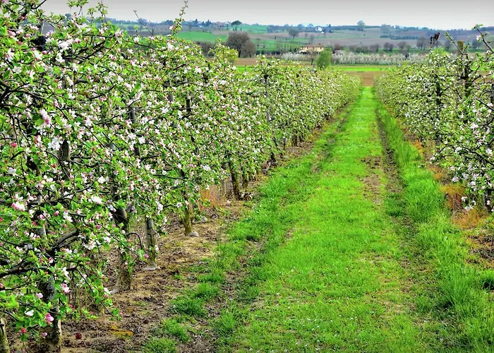 Vila Belvilla By Oyo Paola